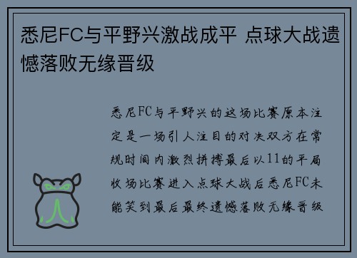 悉尼FC与平野兴激战成平 点球大战遗憾落败无缘晋级