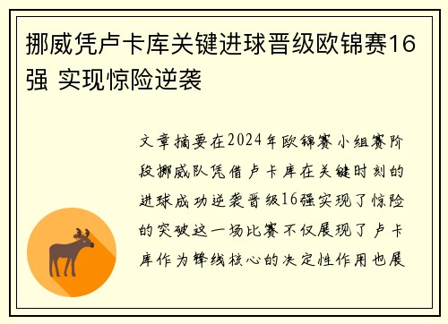 挪威凭卢卡库关键进球晋级欧锦赛16强 实现惊险逆袭