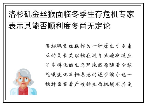 洛杉矶金丝猴面临冬季生存危机专家表示其能否顺利度冬尚无定论