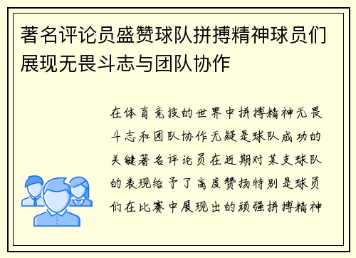 著名评论员盛赞球队拼搏精神球员们展现无畏斗志与团队协作